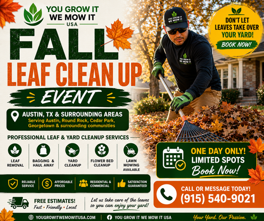 Fall Leaf Clean up