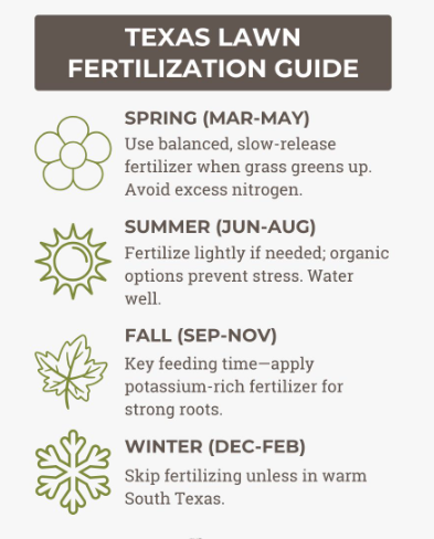 When Should You Fertilize a Texas Lawn?