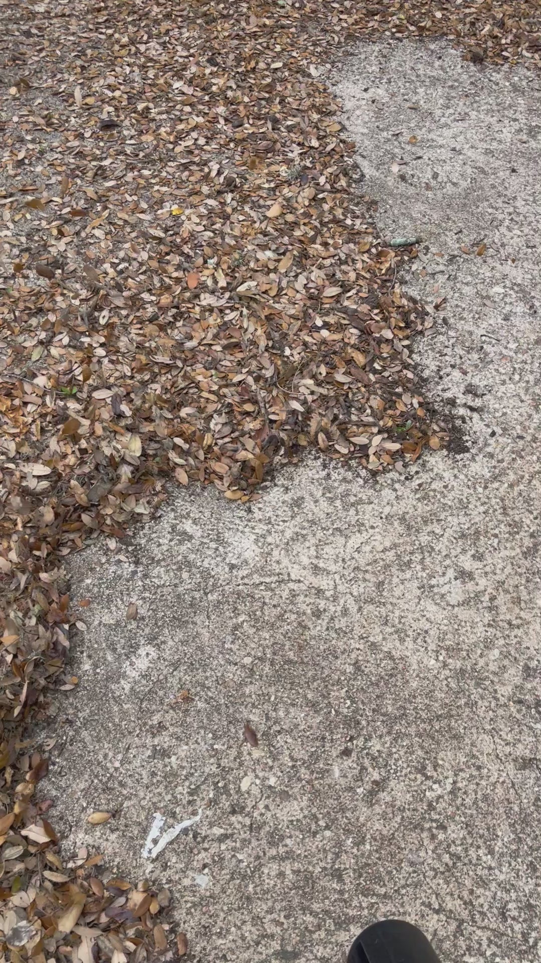 Load video: Seasonal Yard Cleanup
Leaf removal, debris cleanup, storm cleanup, and seasonal property maintenance.